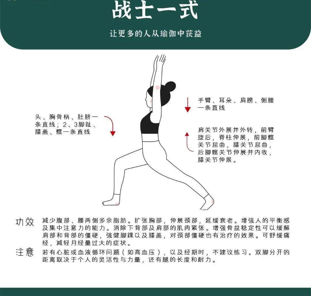 瑜伽常识收藏丨瑜伽体式常见解剖图正位、发力方式一目了然！必一体育(图14)